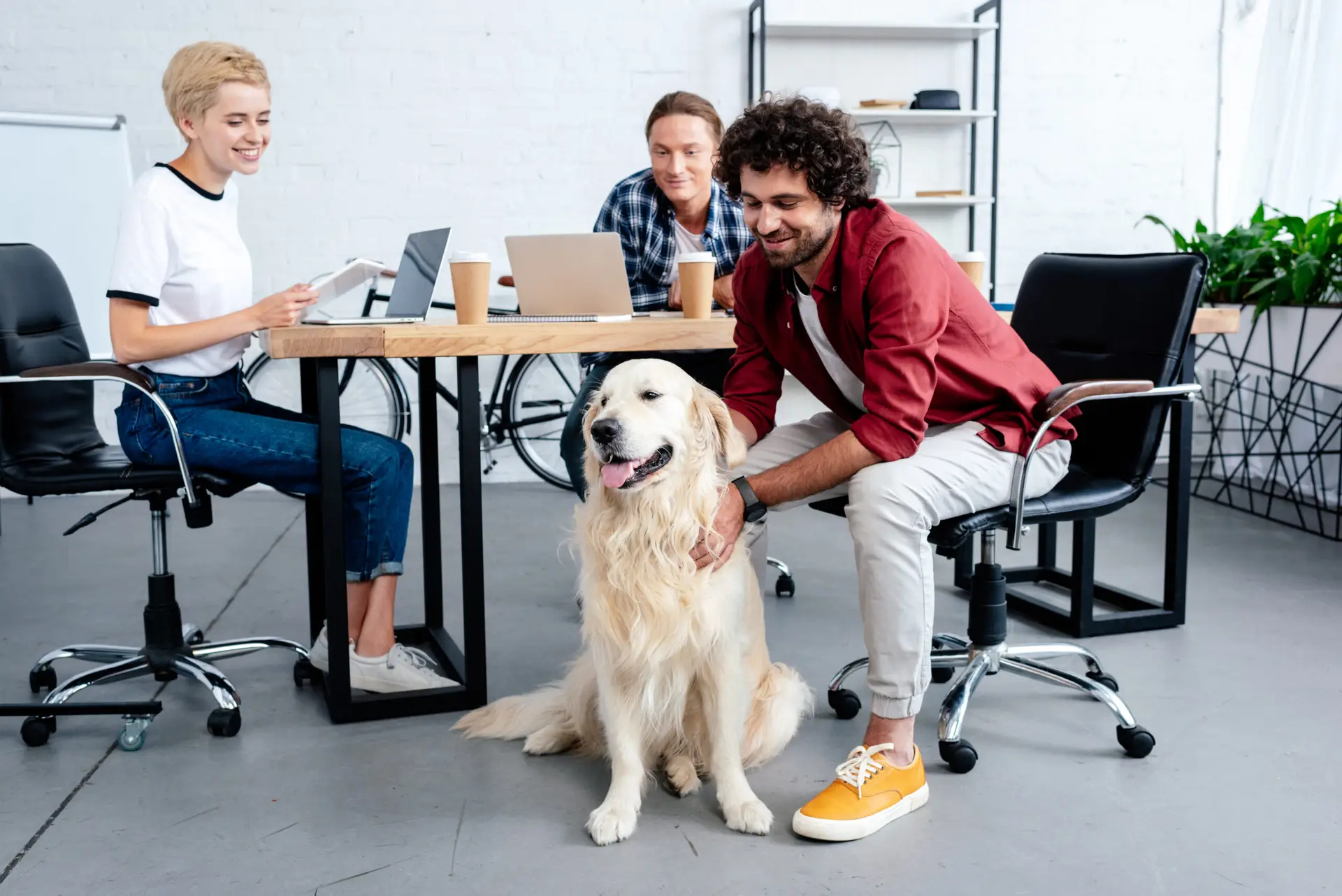 smiling young business people looking at dog while working in office