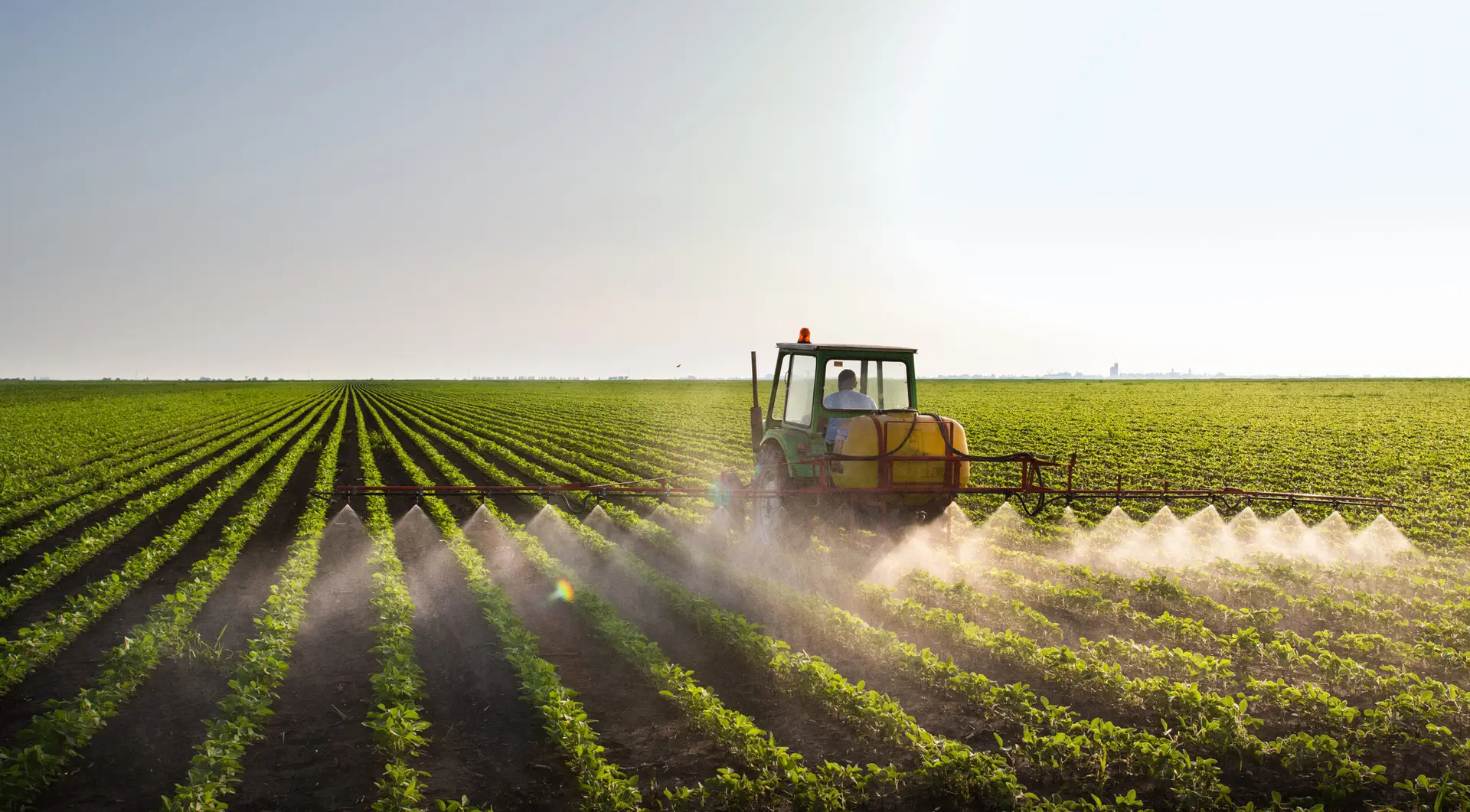 Tractor spraying soybean field