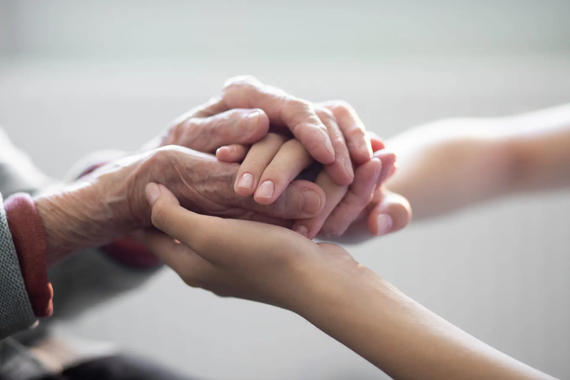 The hands of the child in the hands of the grandmother, the old