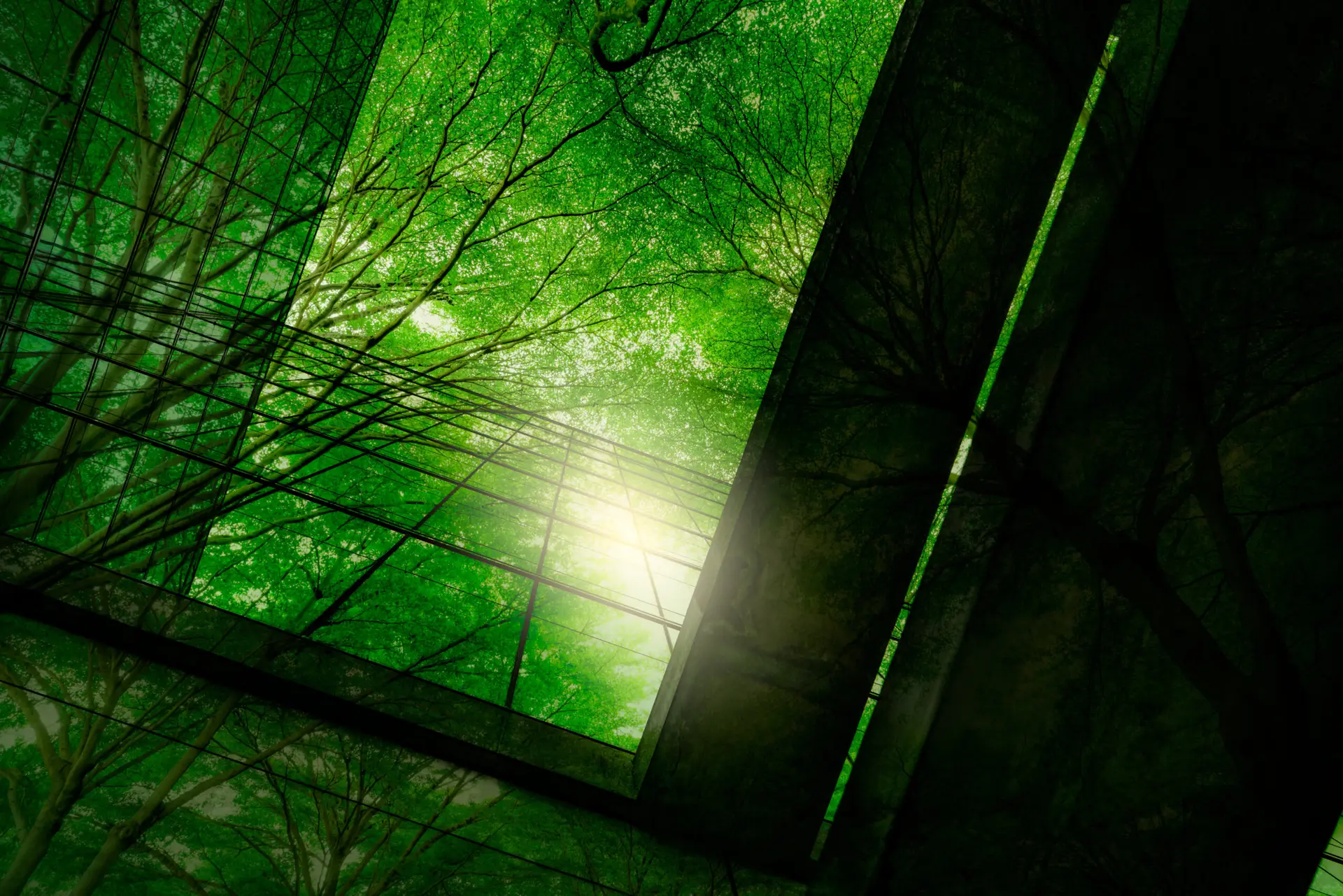 Eco-friendly building in the modern city. Green tree branches wi