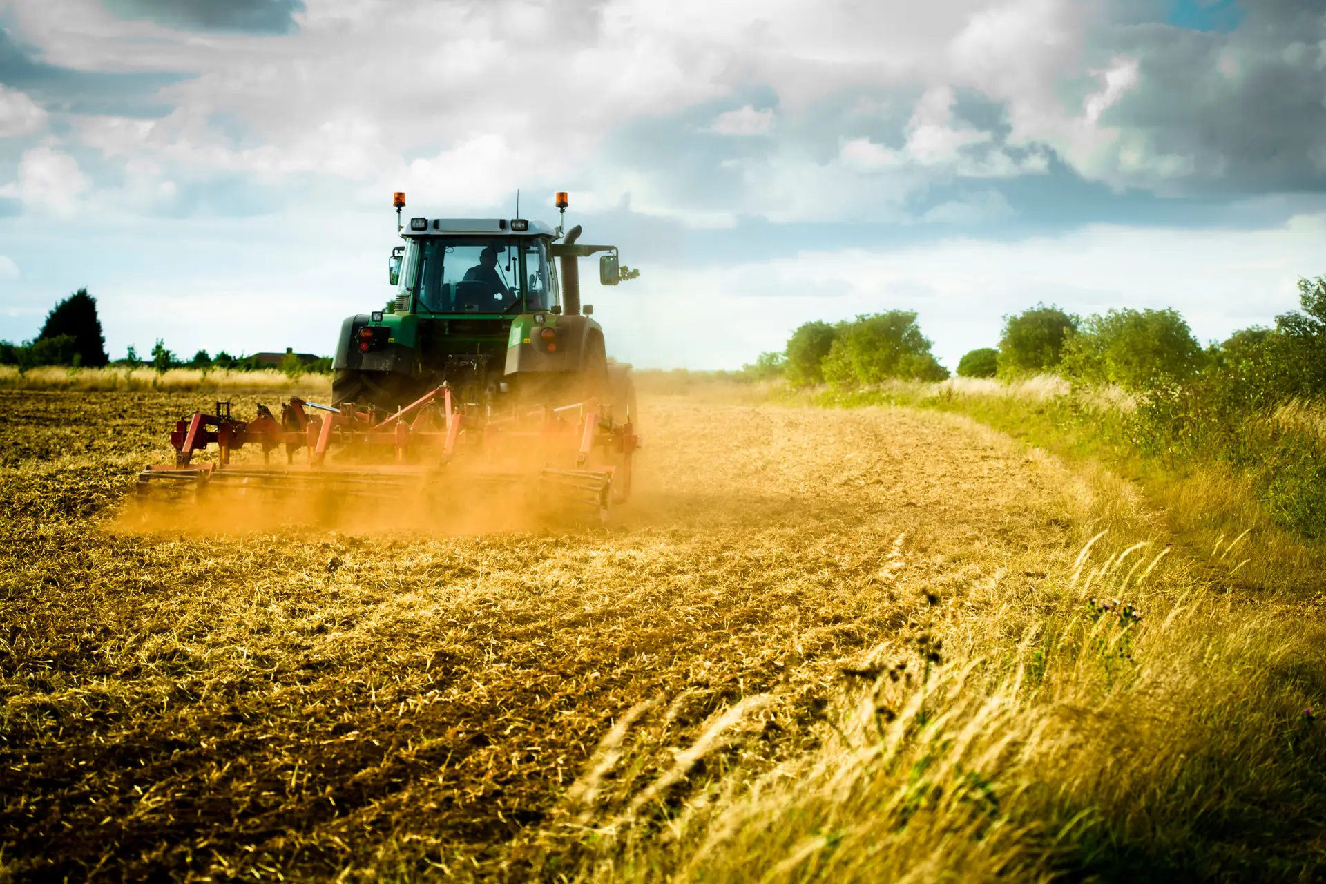 Tractor ploughs field