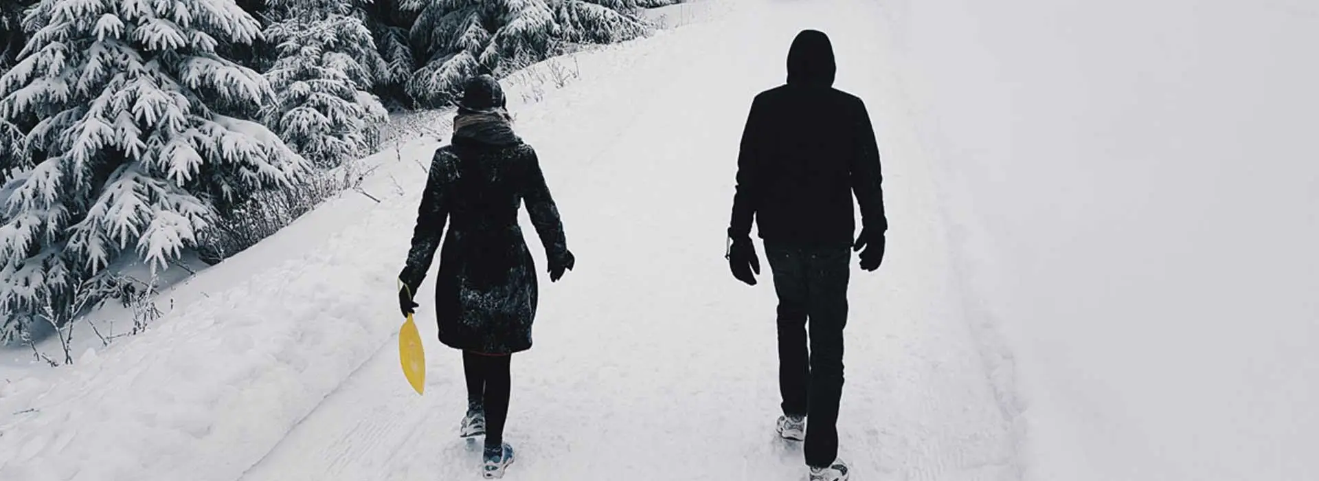 Snow-website-banner