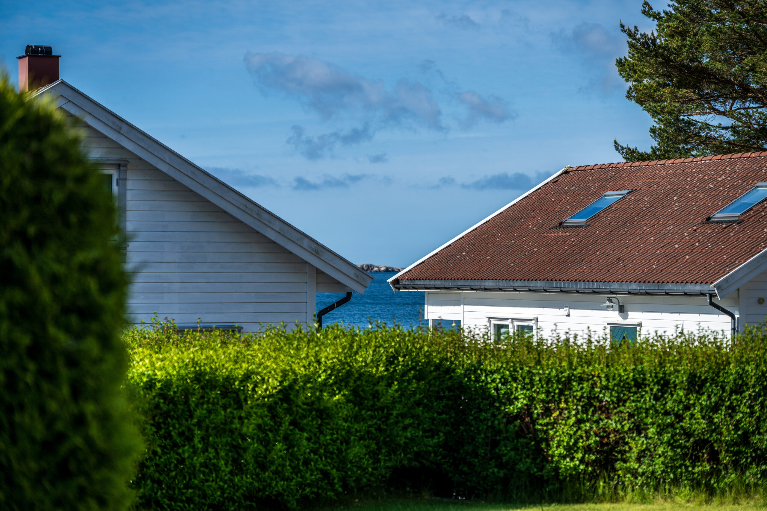 Two houses with sea view behind green hedges.