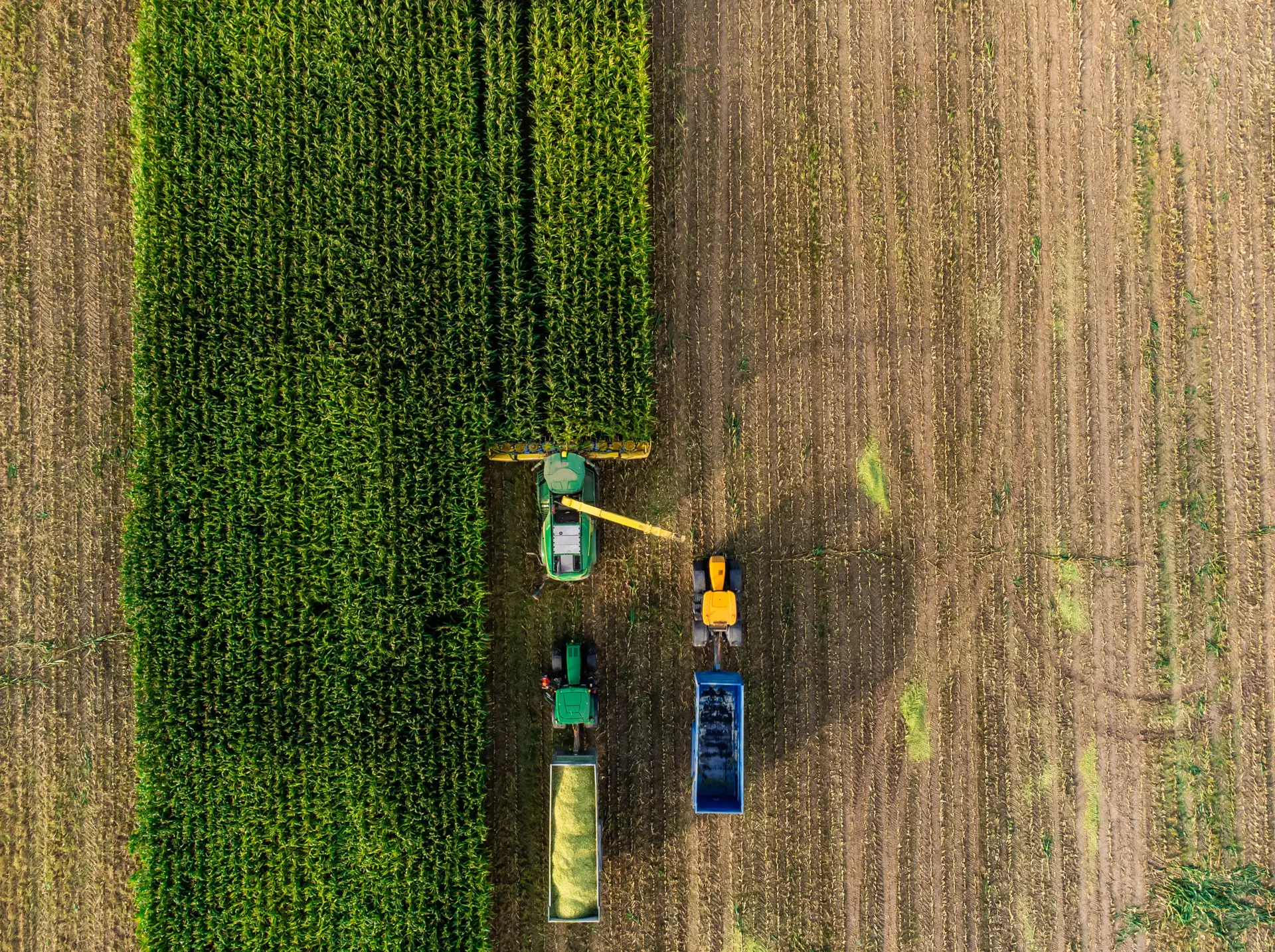 Rural and agriculture header