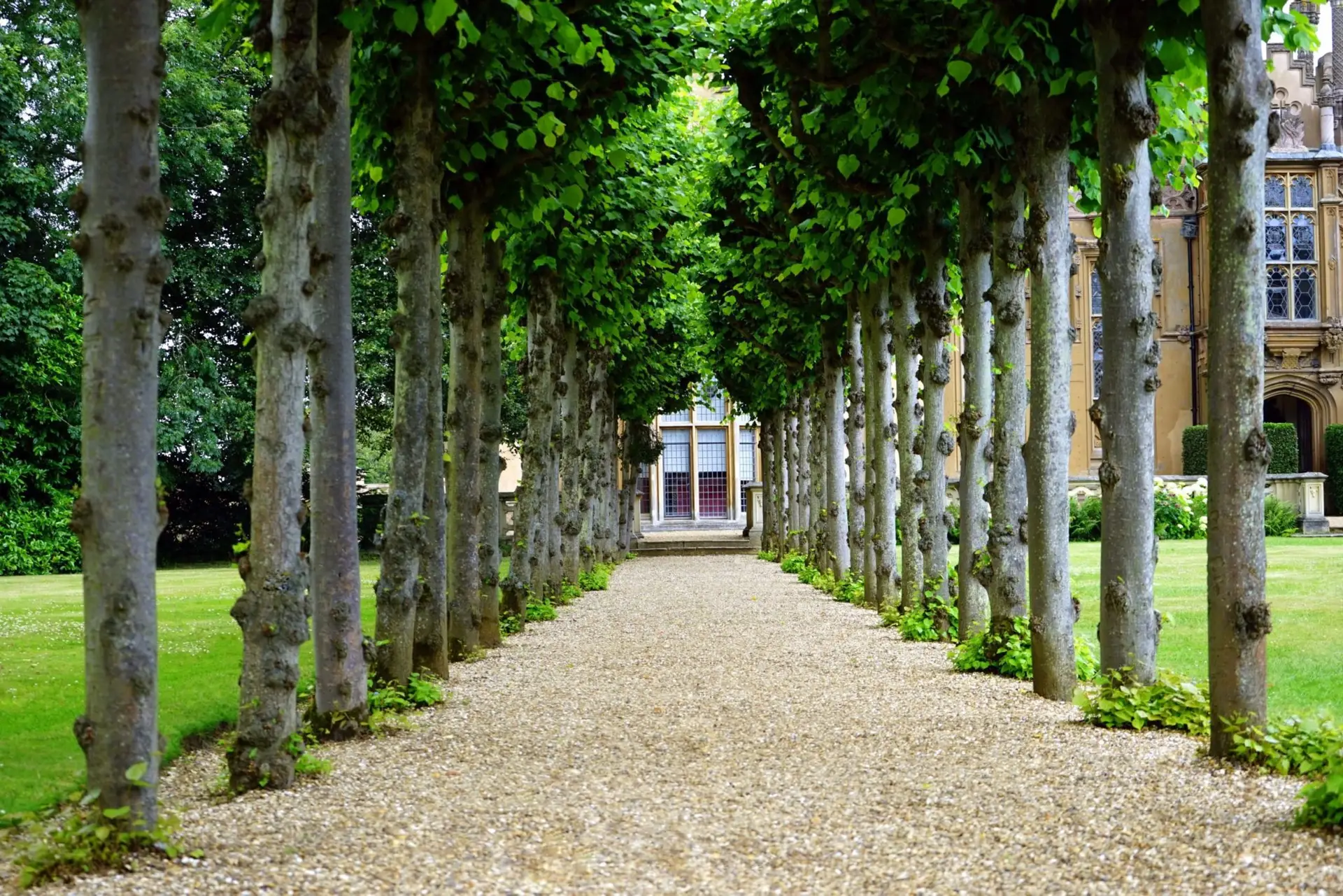 architecture-building-countryside-daylight-126271-scaled-1