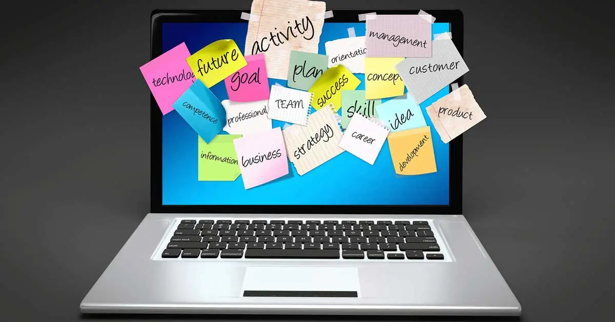 business-structure
