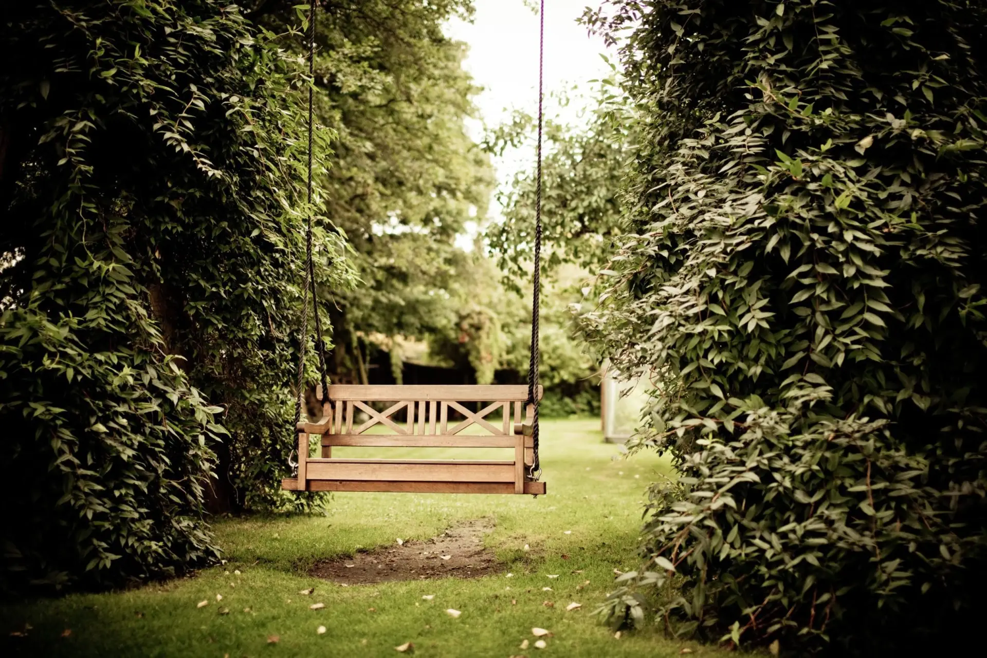gazebo-against-trees-334978-scaled-1