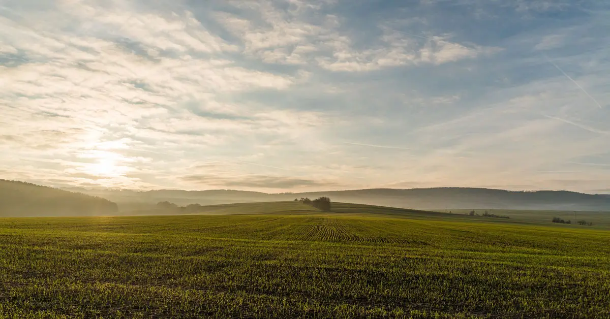 landscape