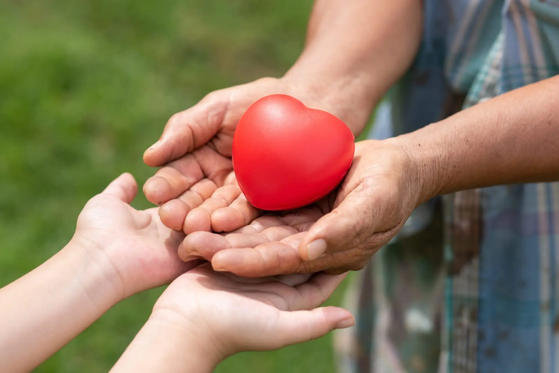 Charity
